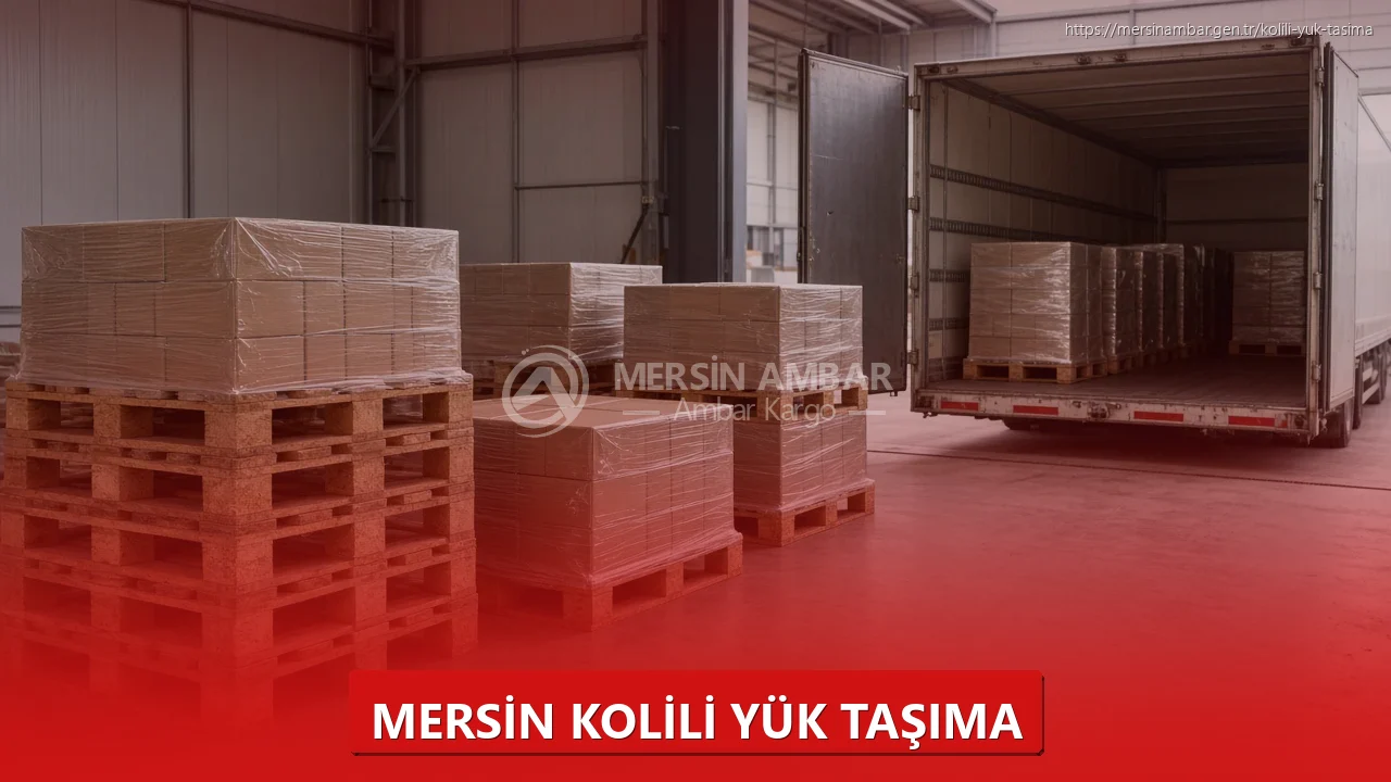 Mersin Parça Yük Taşıma Planlama